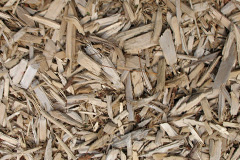 biomass boilers Bamburgh